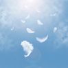abstract-white-feathers-falling-sky_36860-273.jpg