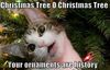 Christmas-Tree-Cat-Meme-011.jpg