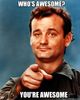 Youre-Awesome-Meme-Bill-Murray-16.jpg