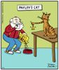 pavlov's cat.jpeg
