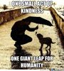 acts-of-kindness_o_2175695.jpg