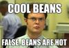19dde8d0f833480a511a886ed8e45c63_cool-beans-false-meme-cool-beans_450-311.jpg