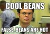 19dde8d0f833480a511a886ed8e45c63_cool-beans-false-meme-cool-beans_450-311.jpg