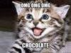 823f3f1a05da66fb55edadd9d59e0721_omg-omg-omg-chocolate-meme-chocolate_625-468.jpg