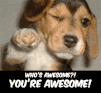 Youre-Awesome-