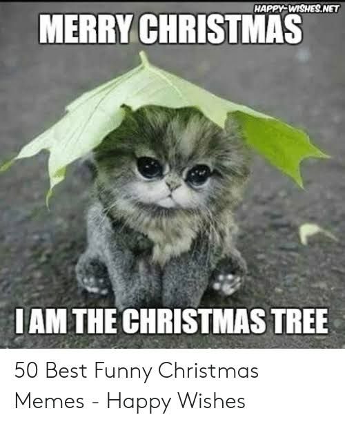 cute christmas cat memes