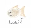 loki.jpeg