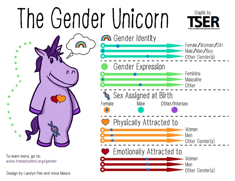 Stormys gender unicorn.jpg