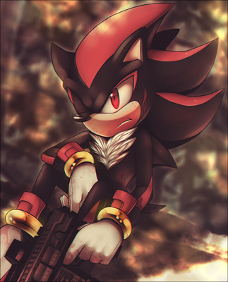 shadow the hedgehog.png