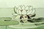 Water lily