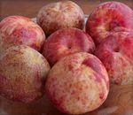 fruit_pluots-various_1_large.jpg