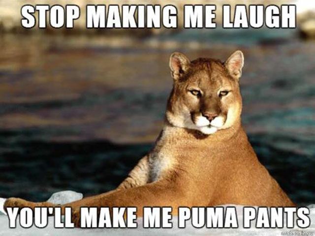 puma