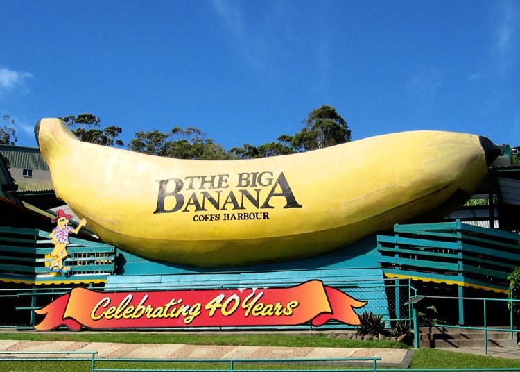 big banana