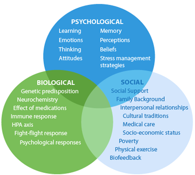 biopsychosocial.png