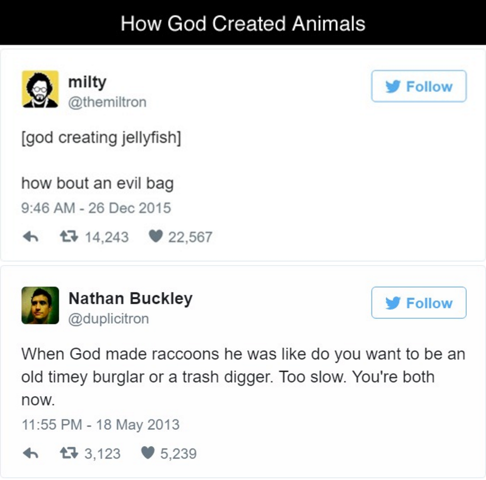 how god created animals 1