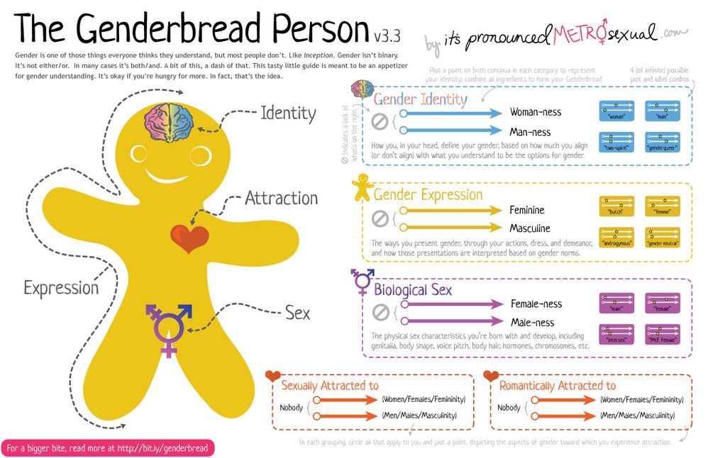 the genderbread