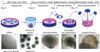 cerebral organoid