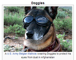 doggles