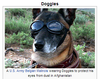 doggles