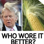 trump corn