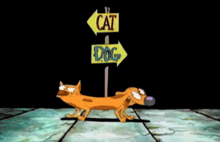 Featured image of post Catdog Gif Turn on your favorite song launch this gif and enjoy with these funny cats
