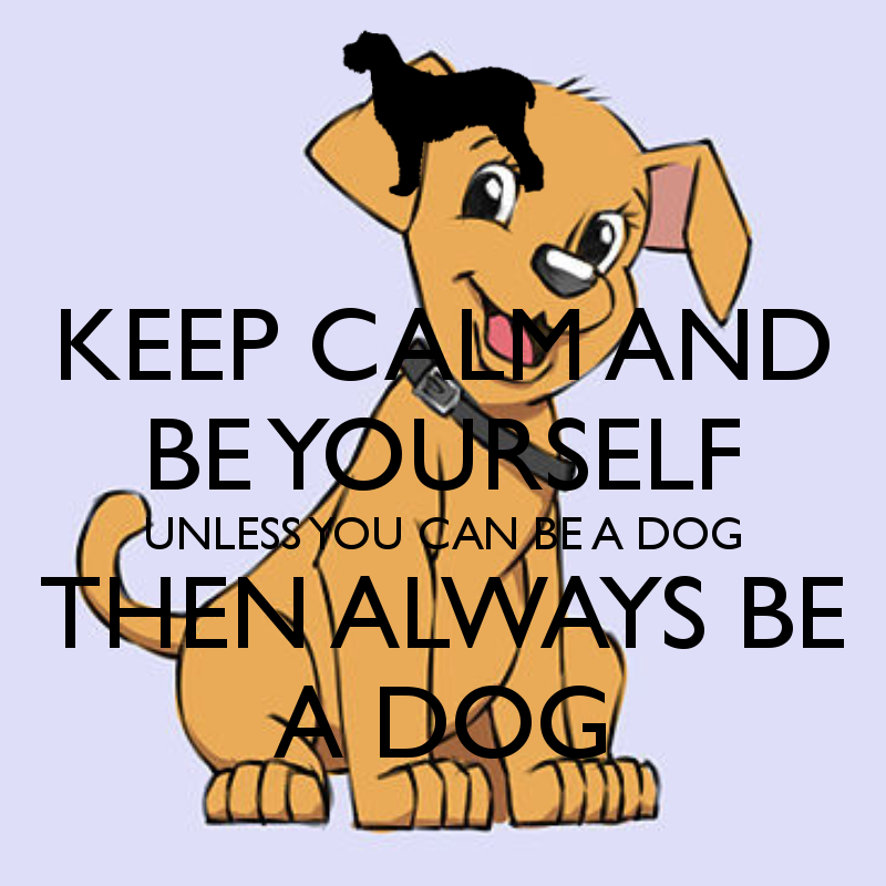 keep-calm-and-be-yourself-unless-you-can-be-a-dog-then-always-be-a-dog.png