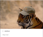 tiger dad.PNG