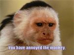 annoyed monkey.jpg